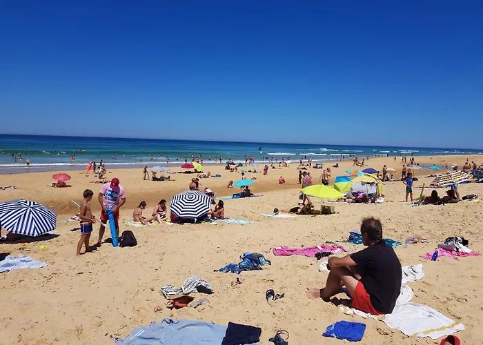 Les Dunes De Contis キャンプ場