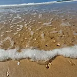 Les Dunes De Contis キャンプ場 *